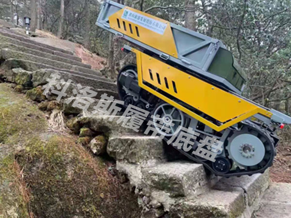 黃山旅游集團攀山俠項目